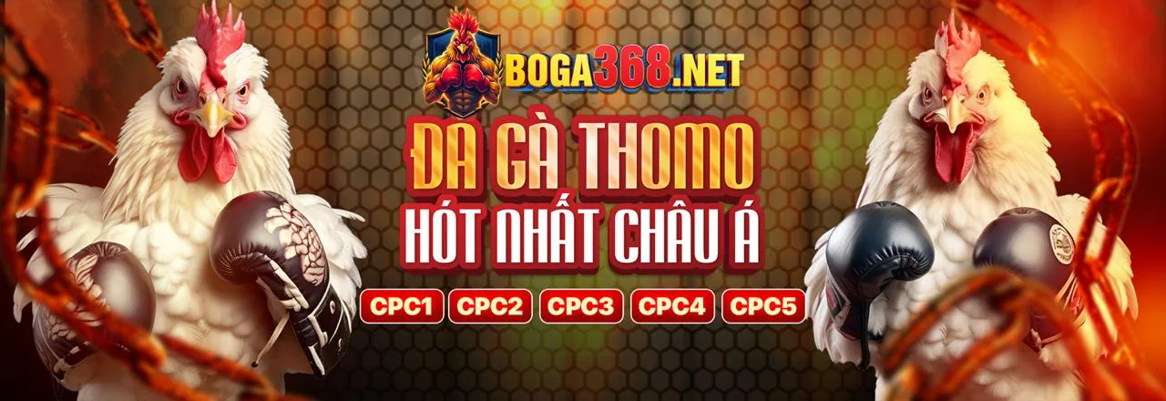 Câu hỏi thường gặp về i5bet Code