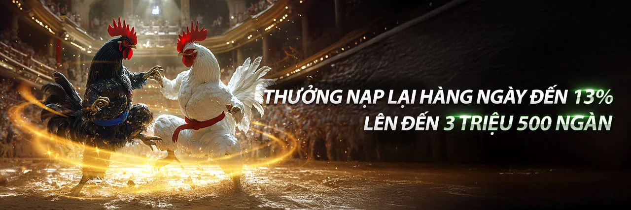 Đá gà trực tuyến kịch tính tại i5bet code
