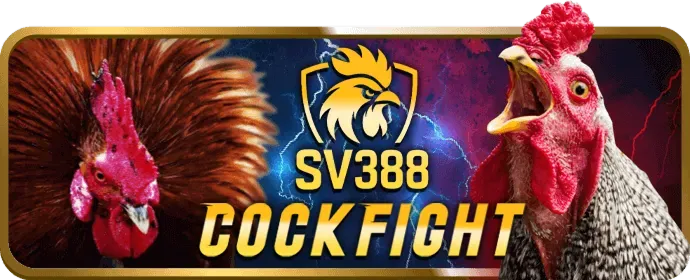 An toàn và bảo mật i5bet code